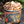 Maple Glazed Gourmet Pecans