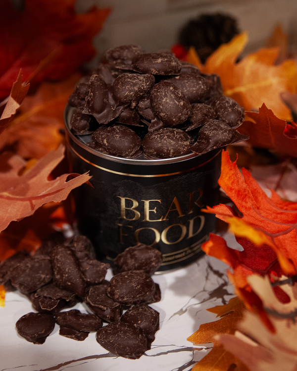 Gourmet Dark Chocolate Pecans