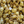 Salted Caramel Gourmet Popcorn