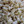 Dill Pickle Gourmet Popcorn