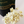 Cheddar Rosemary Gourmet Popcorn