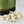 Dill Pickle Gourmet Popcorn
