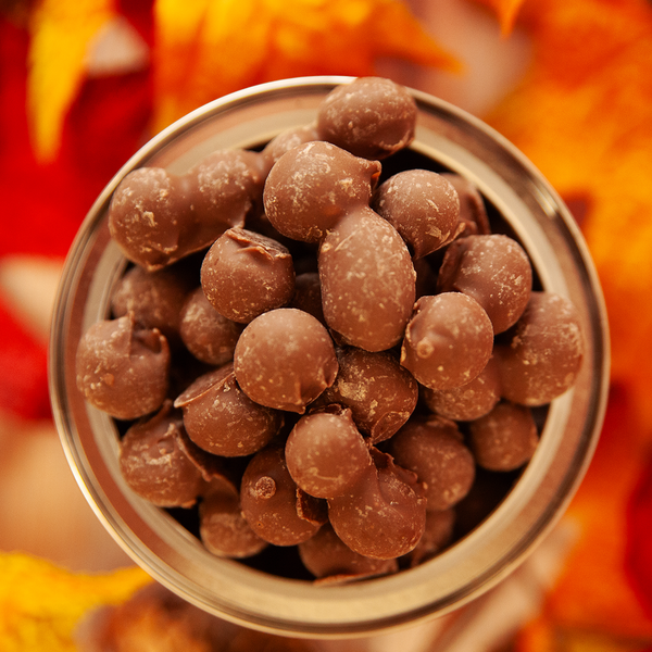 Double Dipped Milk Chocolate Gourmet Peanuts